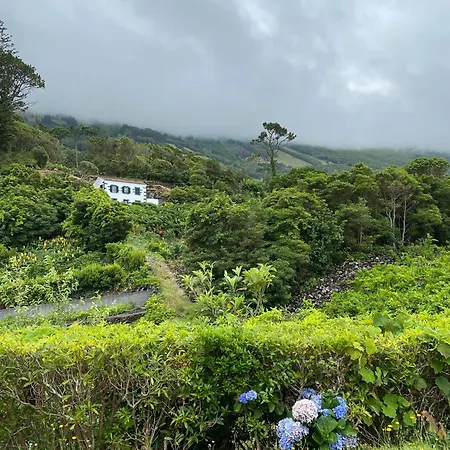 Adega Melo Pereira - 2 Quartos Com Vista Mar Holiday home *